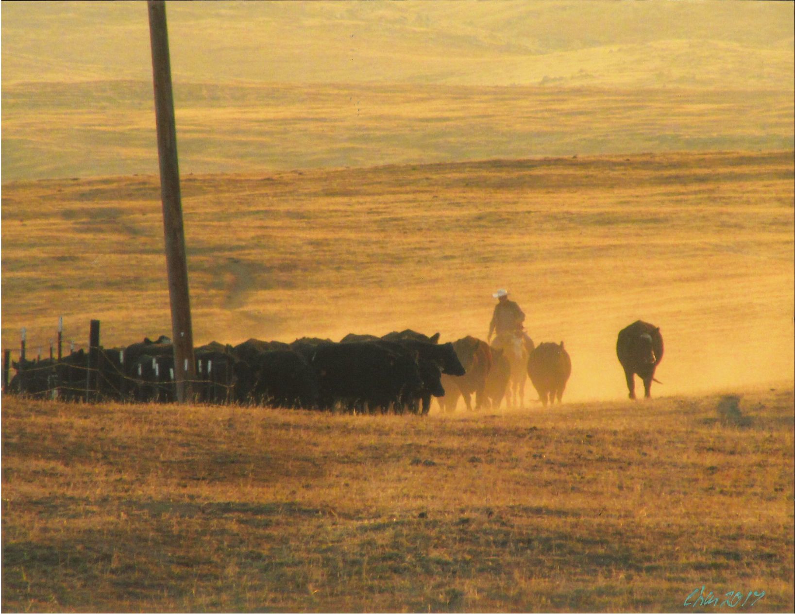 Charlene Cooper - Fall Gather.jpg